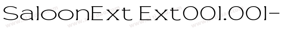 SaloonExt Ext001.001字体转换